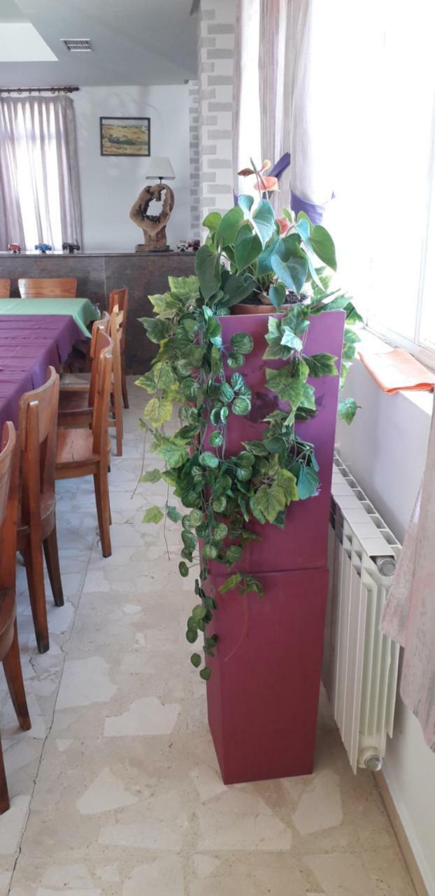 Hostal El Tropezon Matallana de Valmadrigal エクステリア 写真
